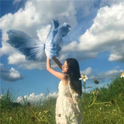科搜研之女第24季